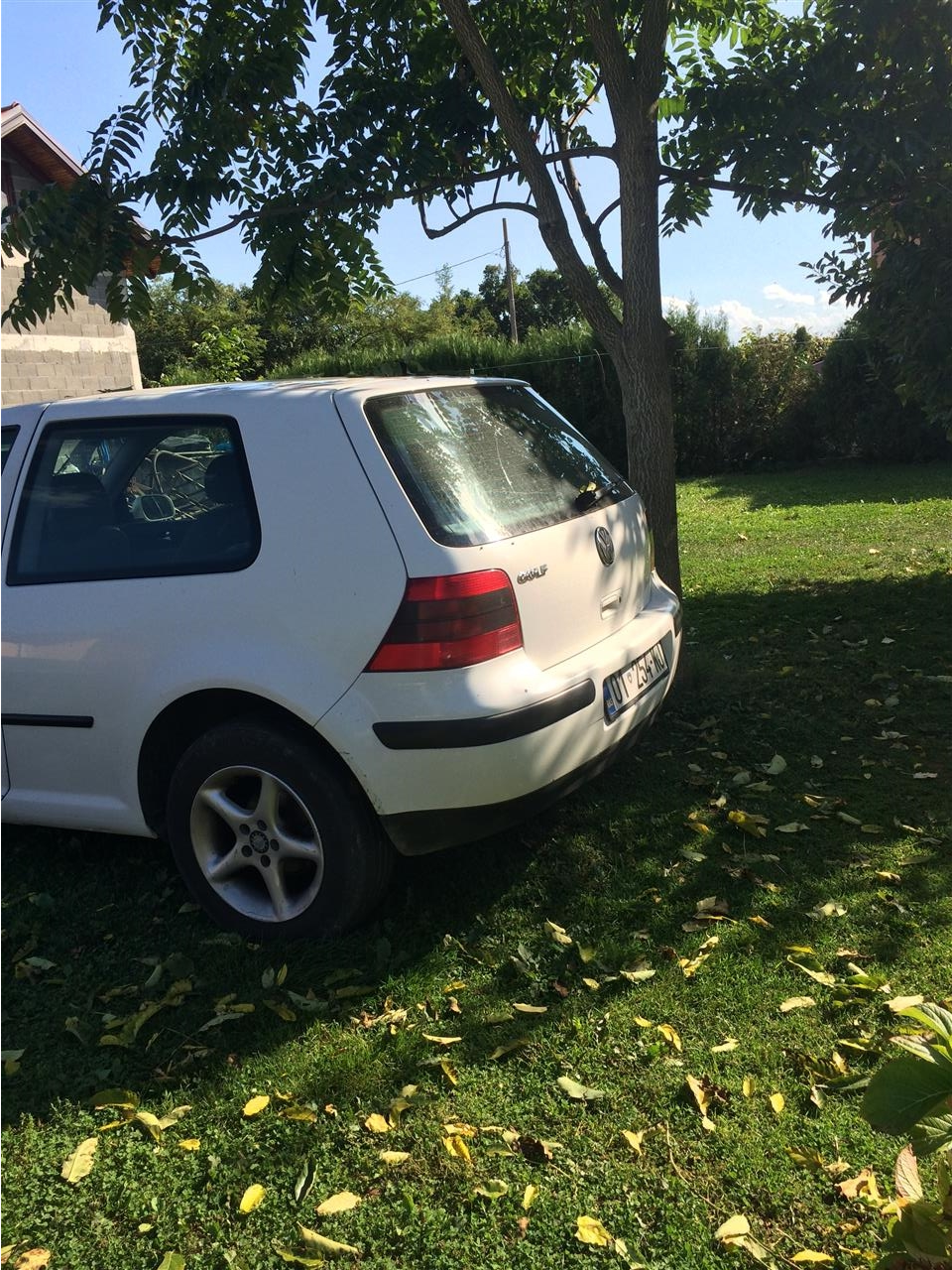 golf-4