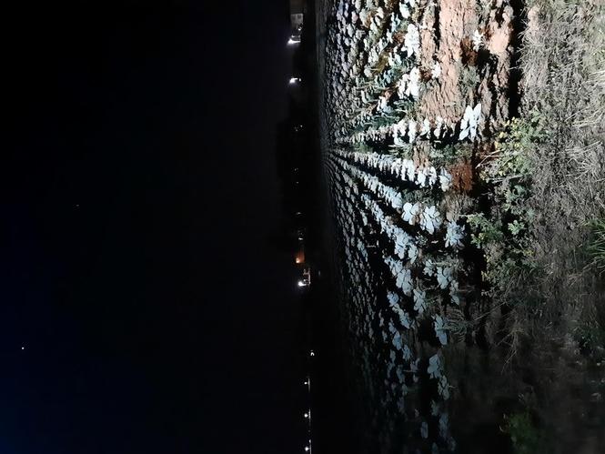 Lakra 