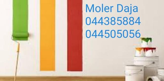 Moler   Daja 