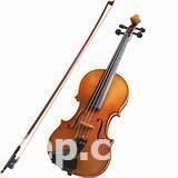 Violin