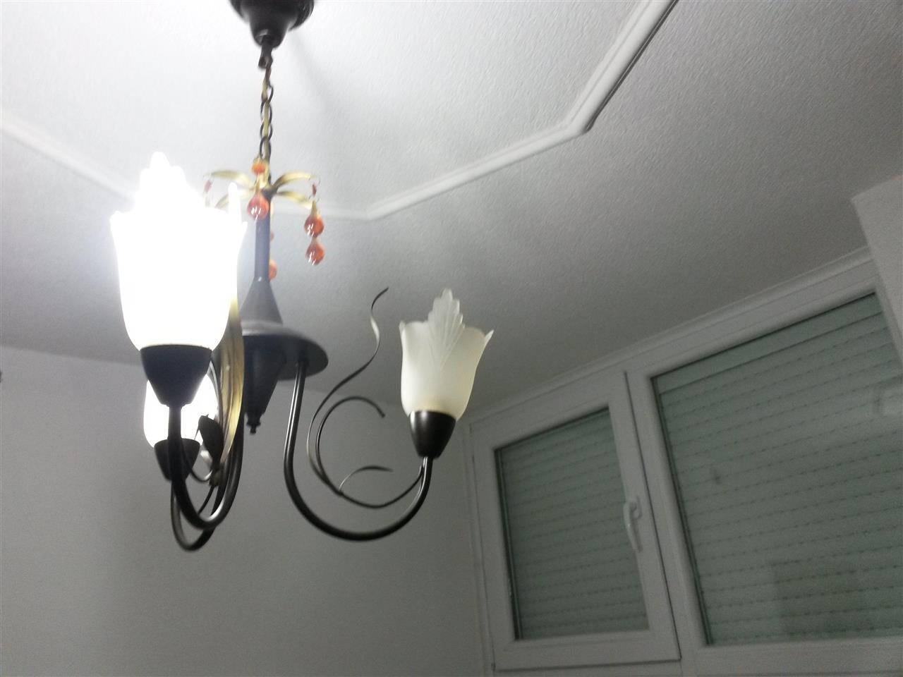 Llustera