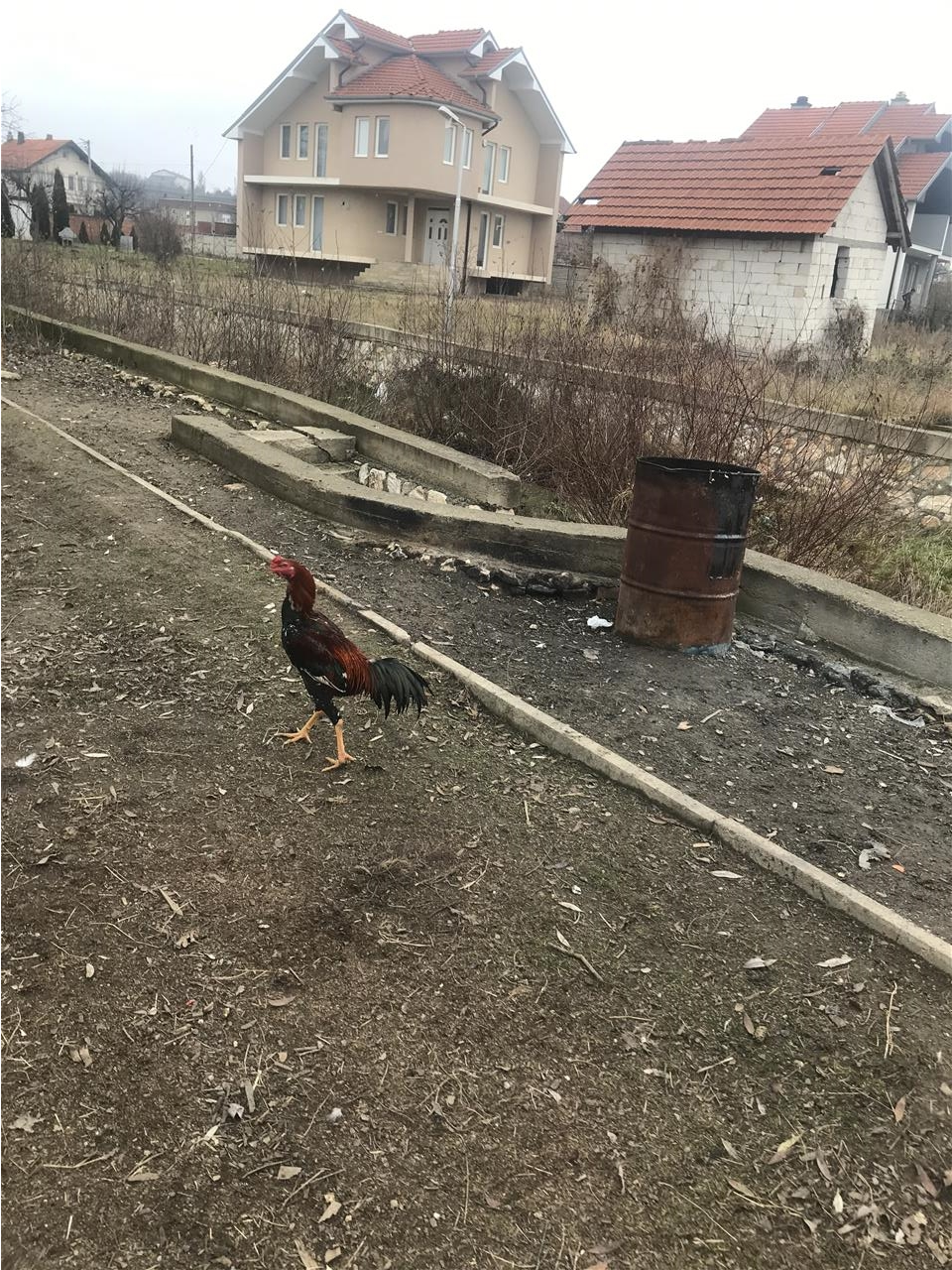 Knus-luftarak-