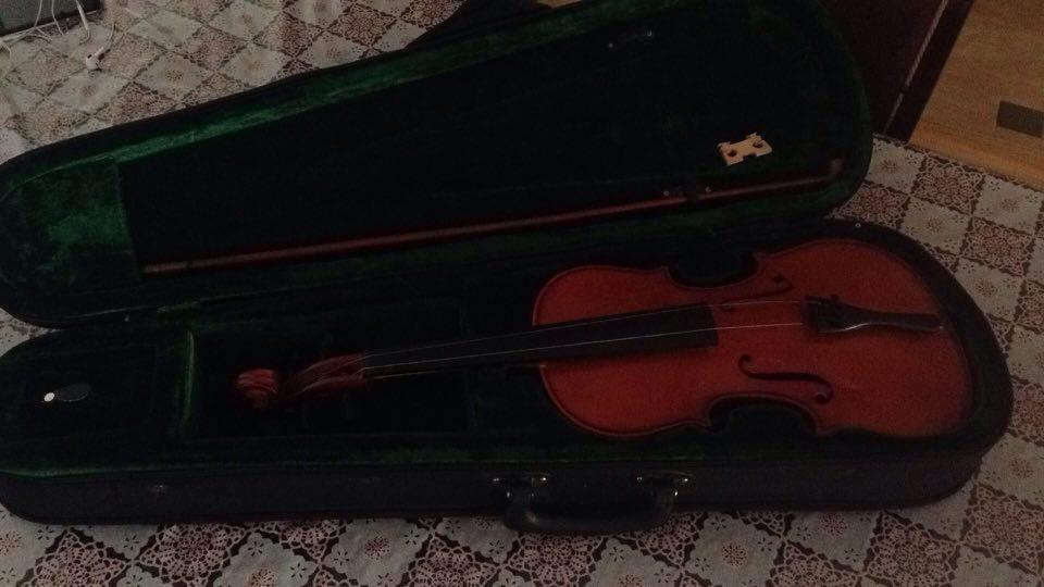 Violin-