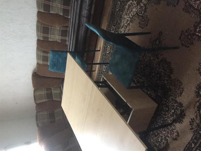 Shes