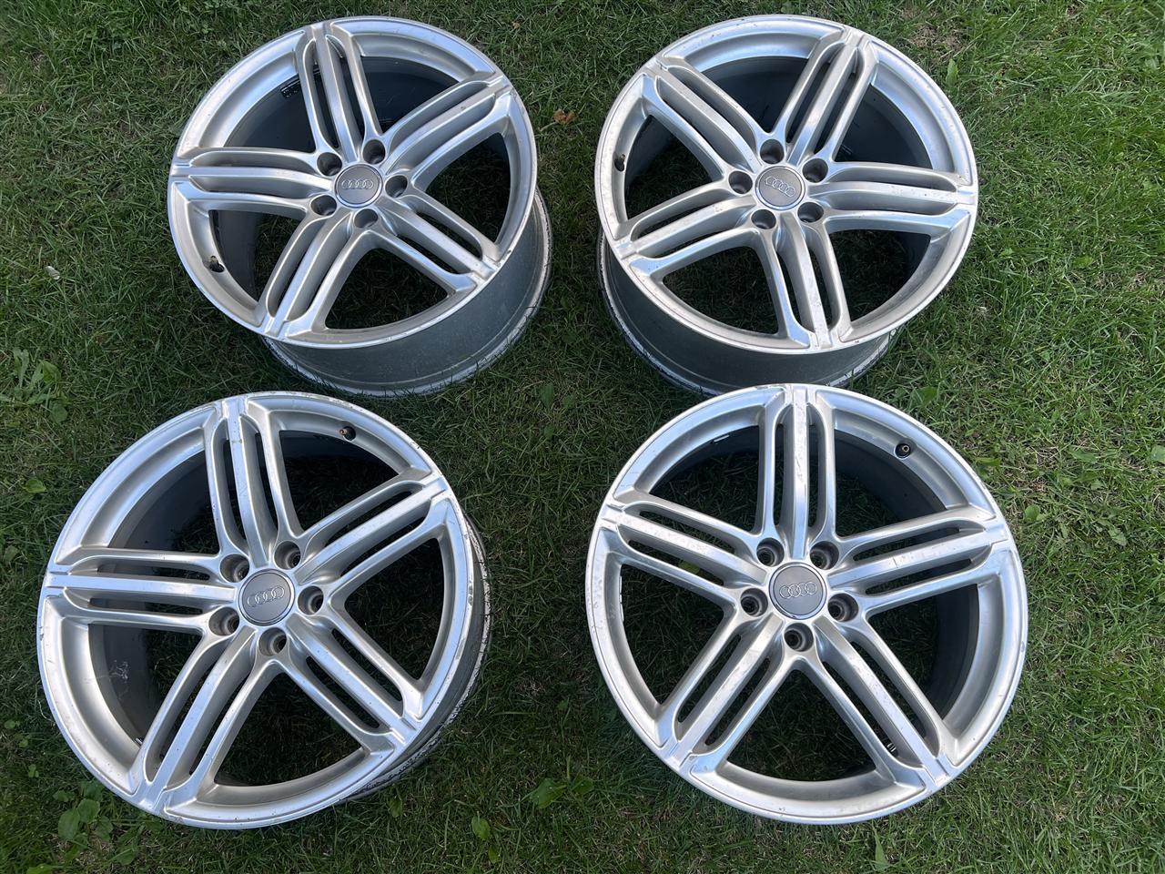 Fellne-19-per-audi