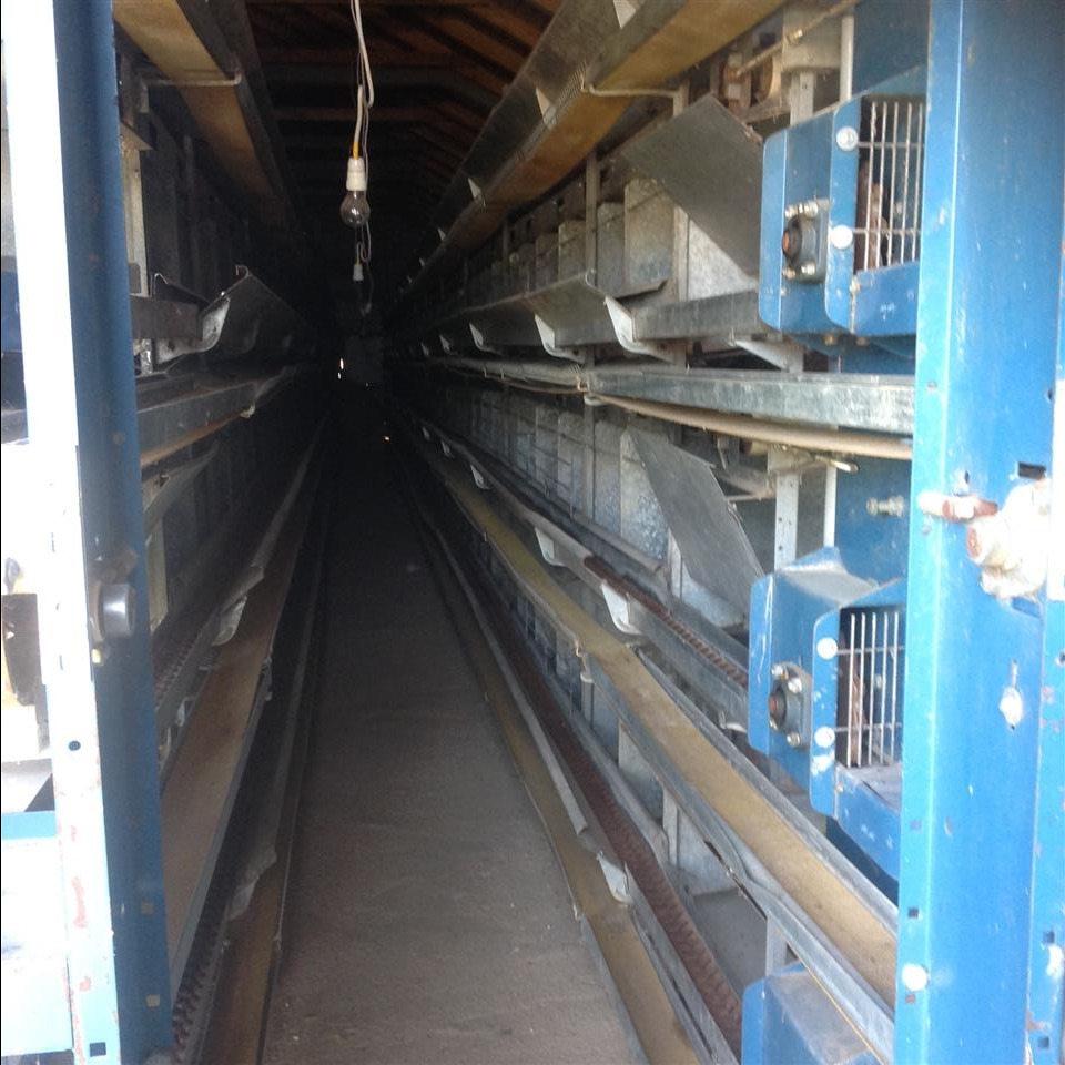 Ferme-e-pulave