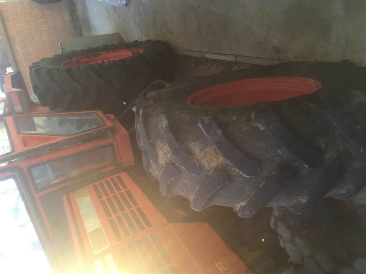 Shes-same-leopard-85