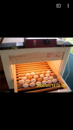 Inkubator