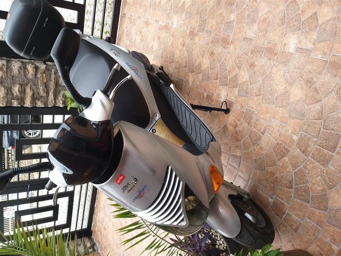 Scoter