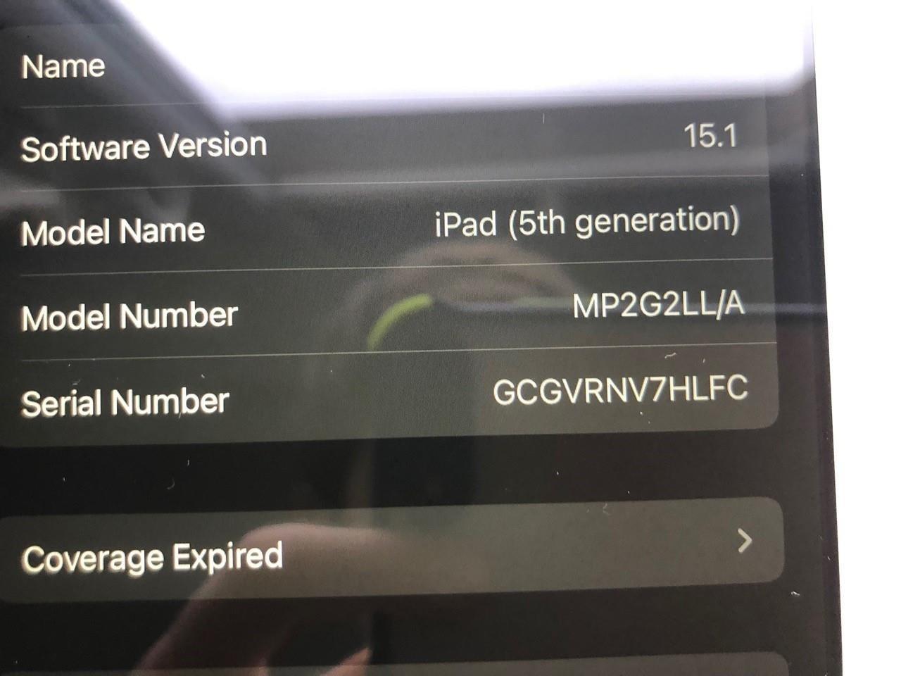 iPad