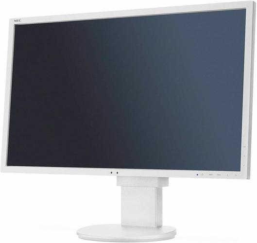  Monitore