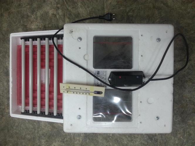 Inkubator
