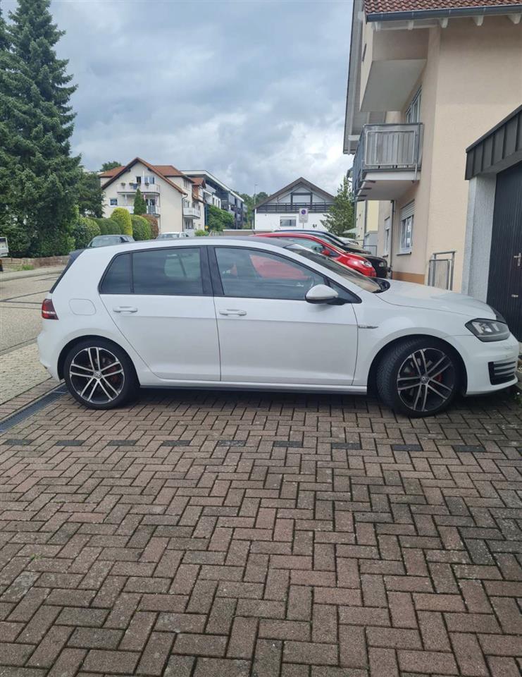 Golf---GTD