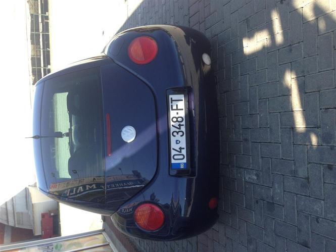 Beetle