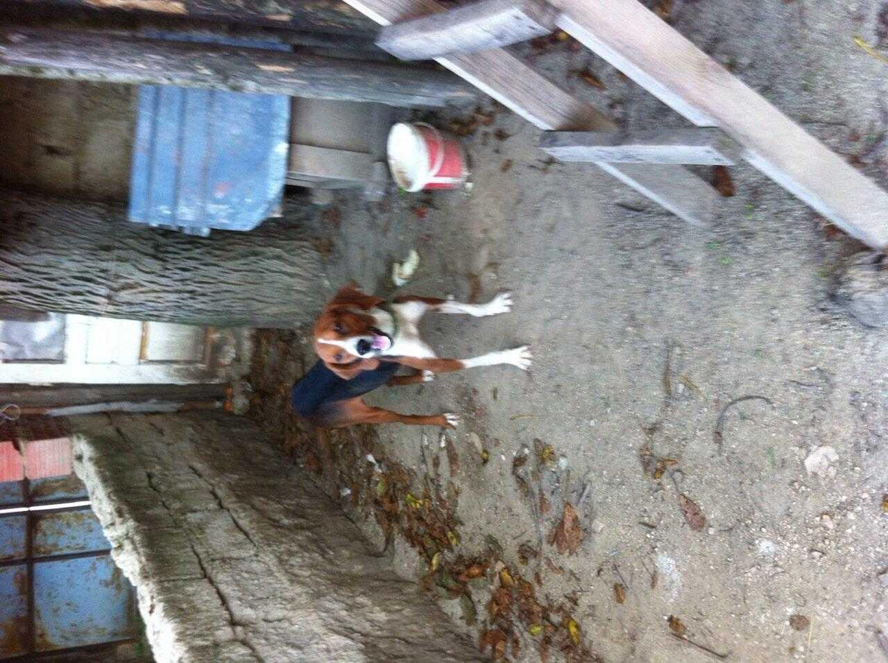 Zagar