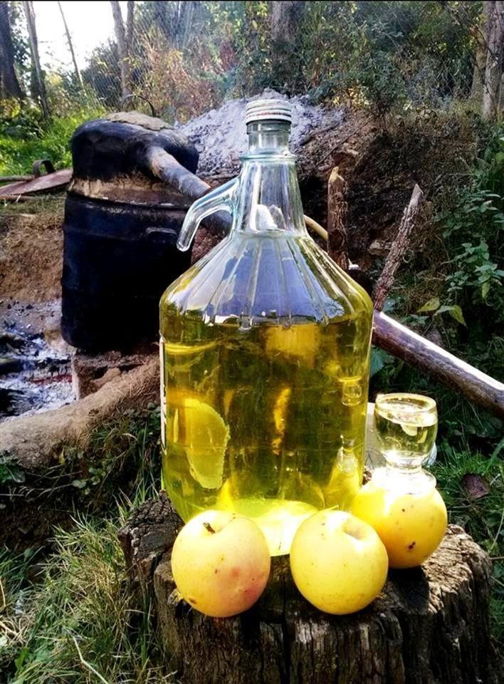 Raki-Molle-100--Bio