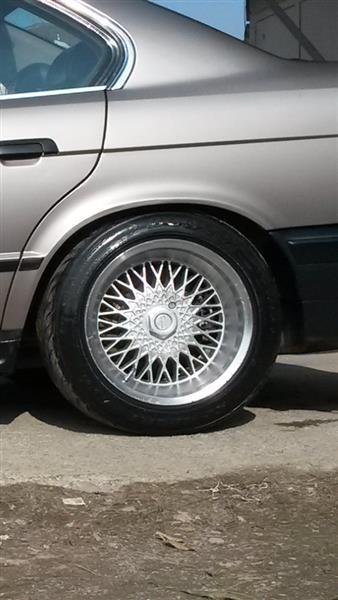 Fellne-Bbs