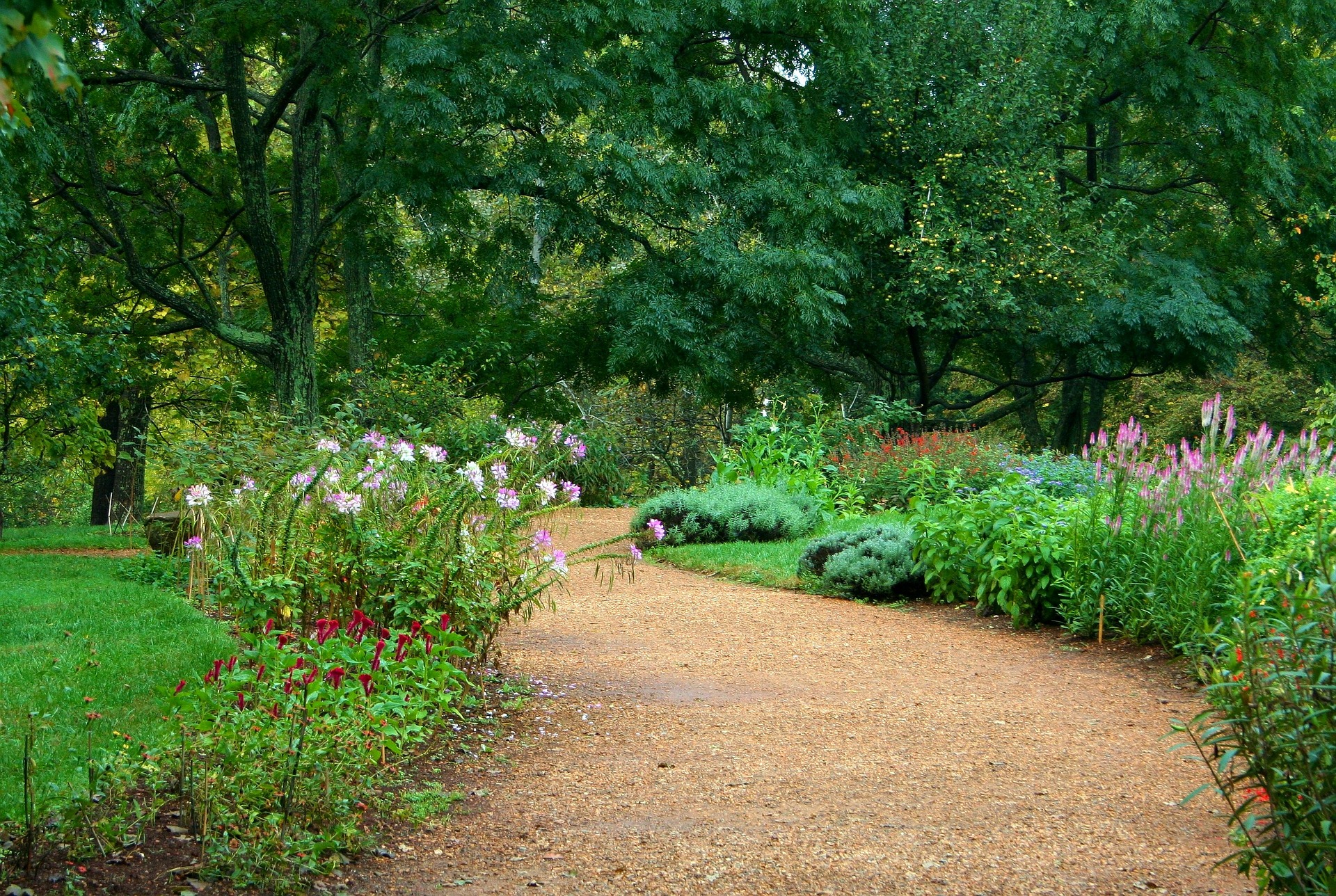 Ide të lira dhe të thjeshta për dizajnimin e kopshtit tuaj