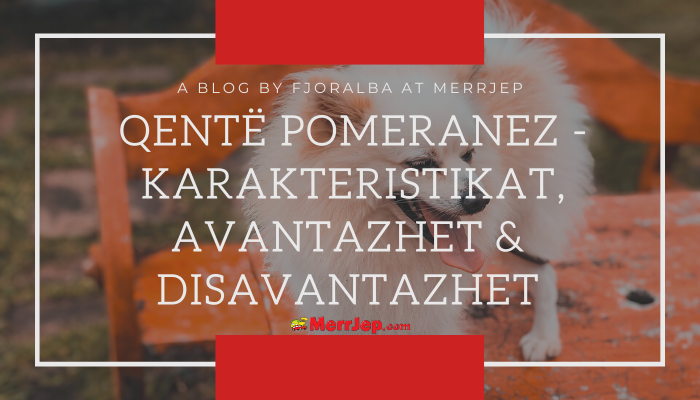 Qentë Pomeranez - Karakteristikat, avantazhet & disavantazhet