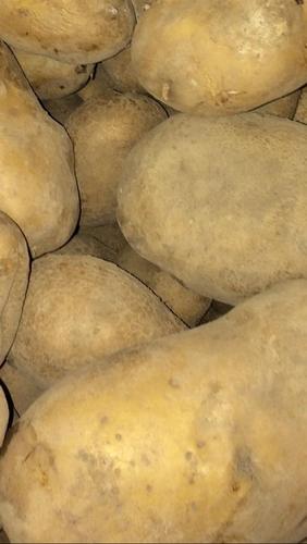 Patate