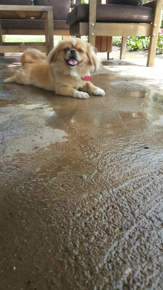 Pekinizer