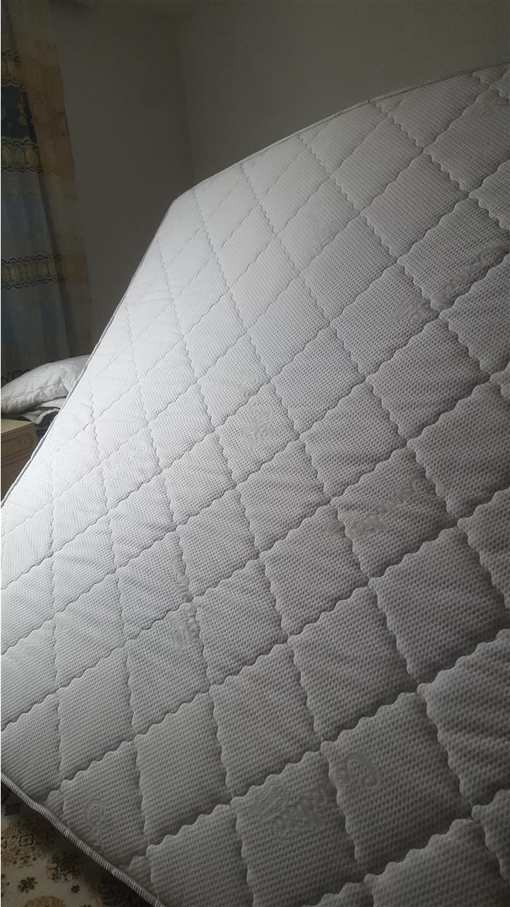 Shitet-dysheki-