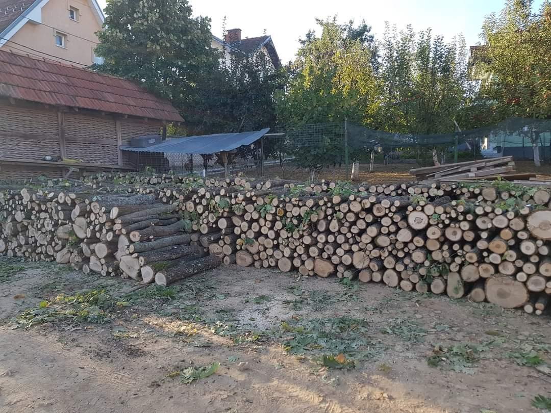 shiten-drut