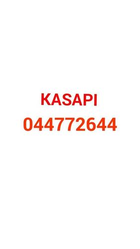kasapi
