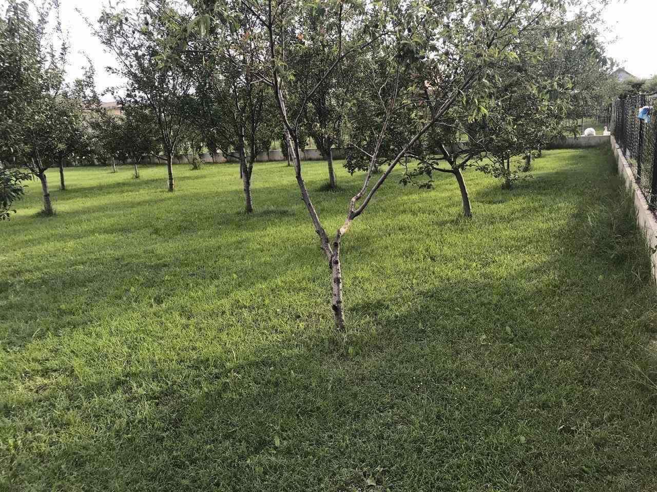 Shitet-oborri