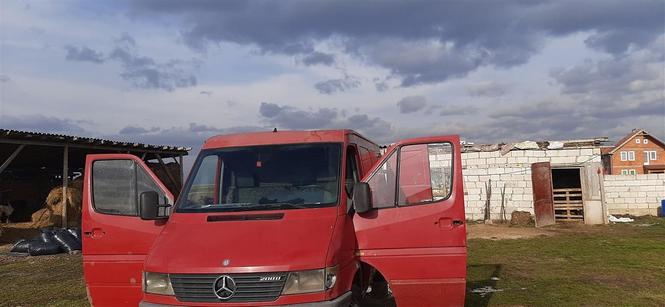Sprinter