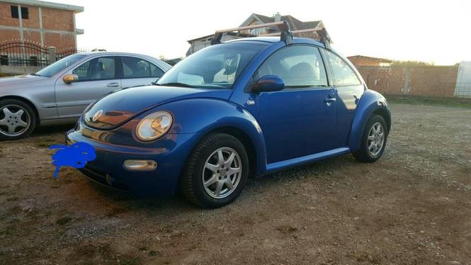 shes  ww beetle