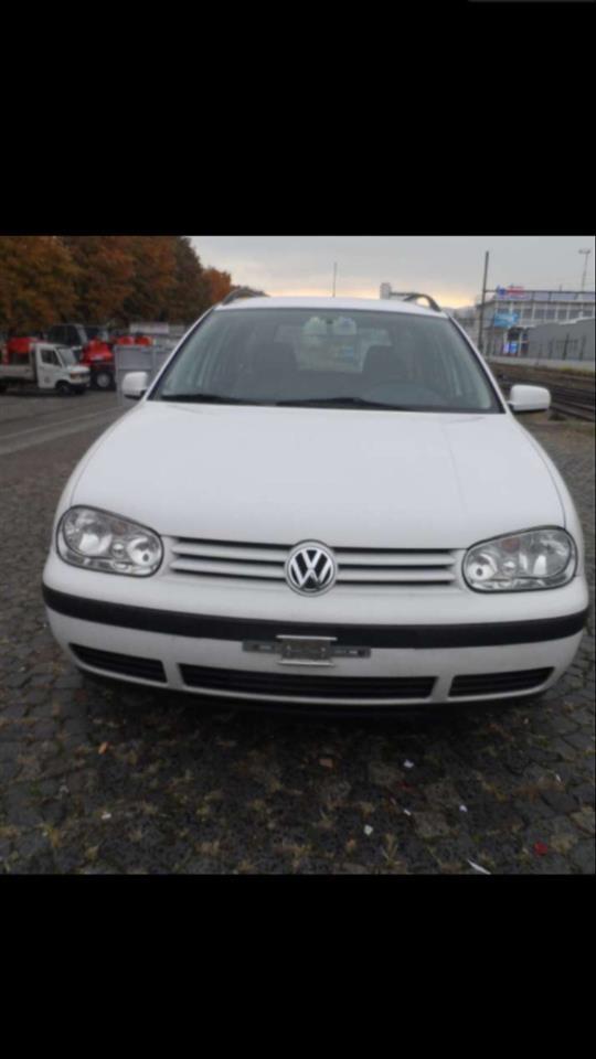 Shes-golf-4