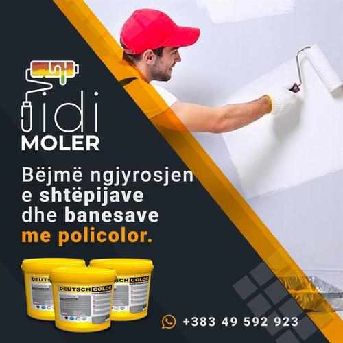 MOLER MOLER FIDI