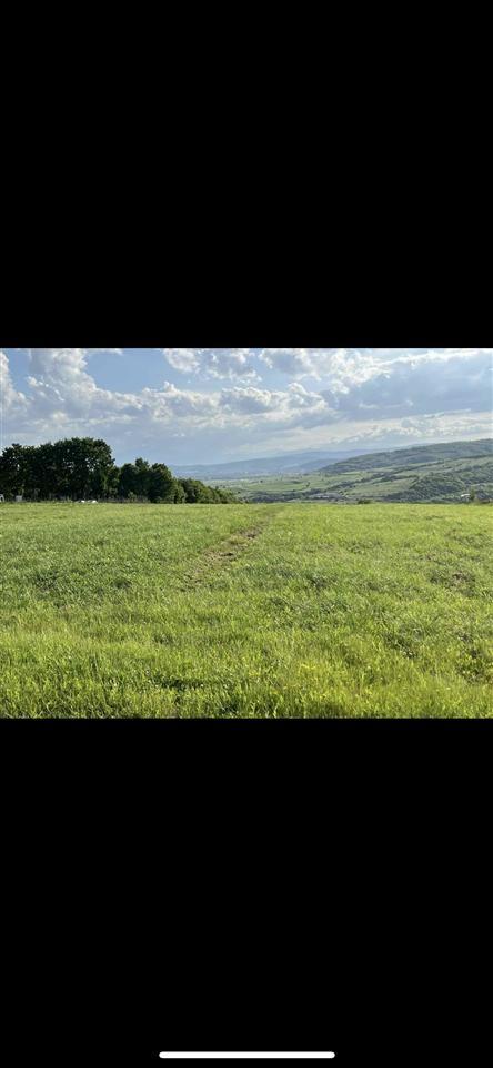 Shitet-parcella-28-ari-te-Vali-Ranch-qmimi-i-volitshem