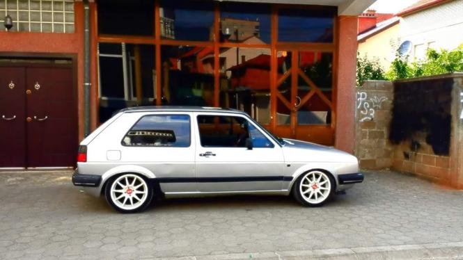 Fellne 