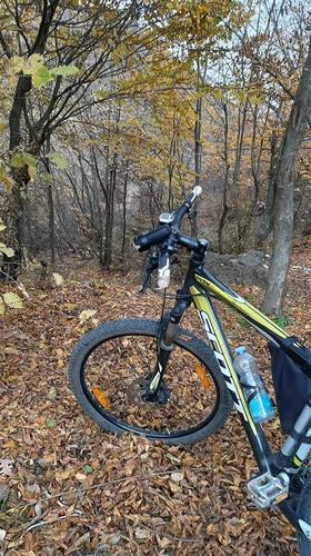 Scott aspect 27.5