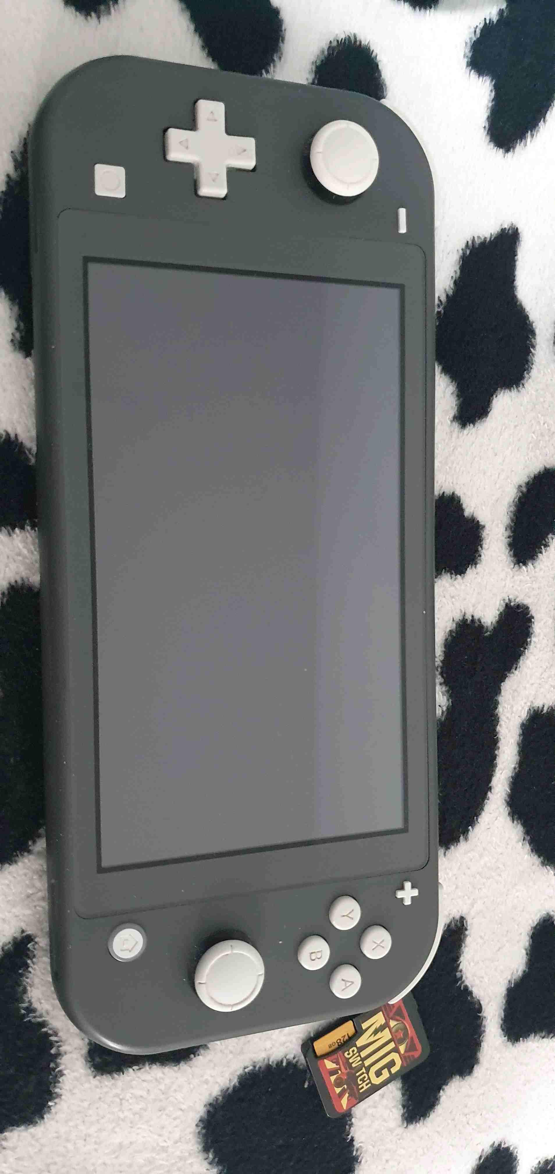 Nintendo-Switch-Light