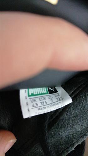 Puma