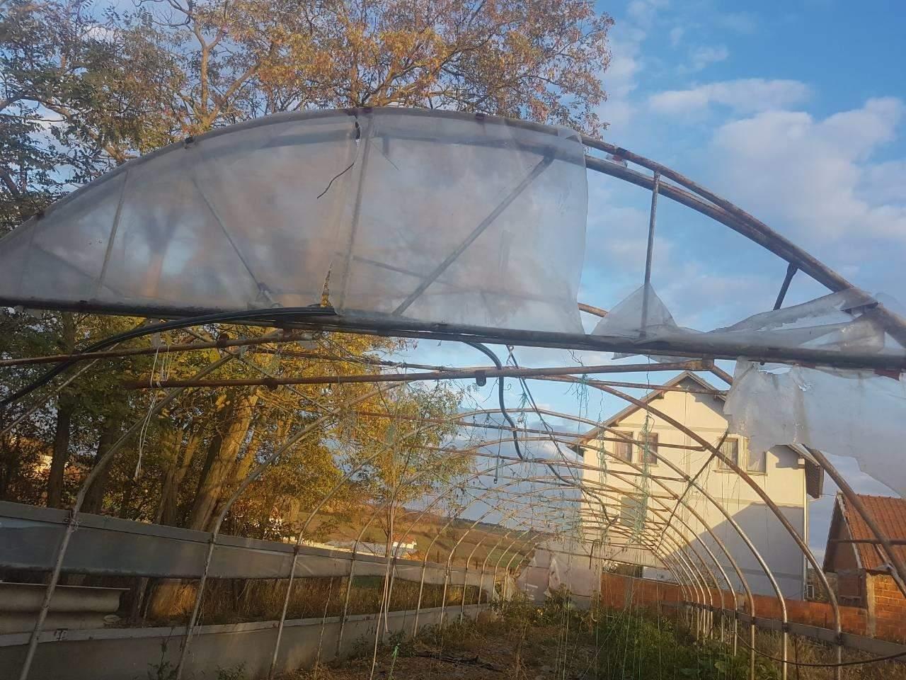 Shitet