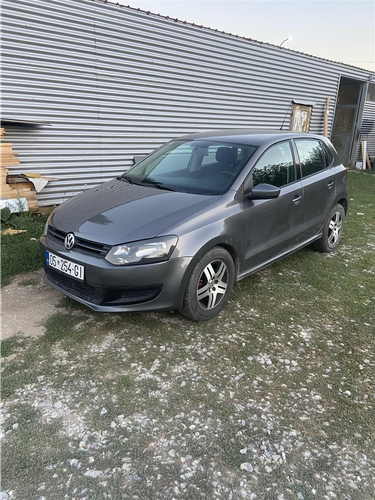 Polo 