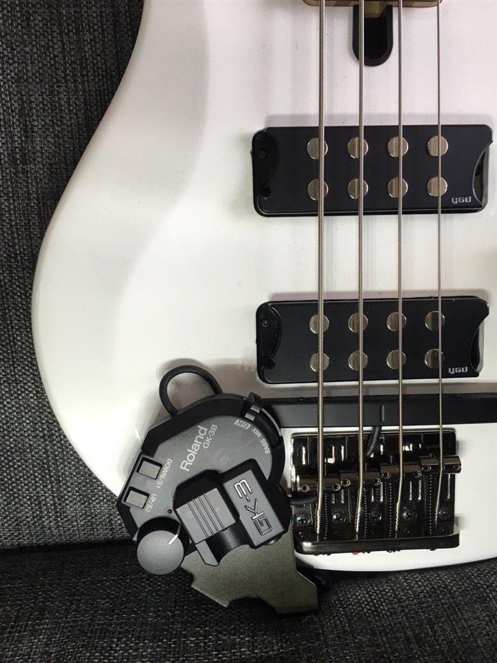 Bass-Bas-gitare-Gitare-elektrike