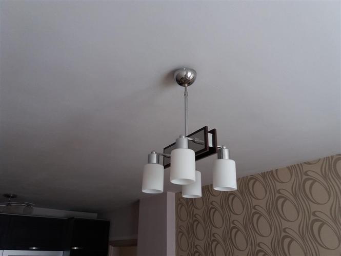 Shitet llusteri 