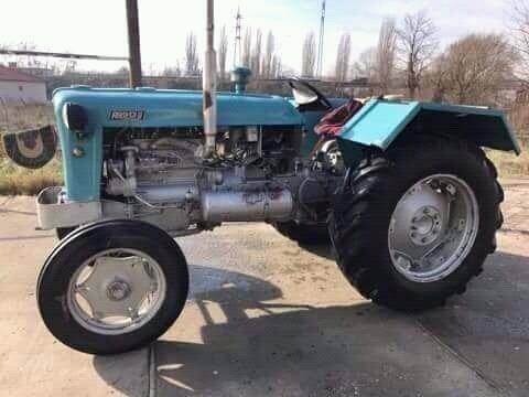 Rakovic 60