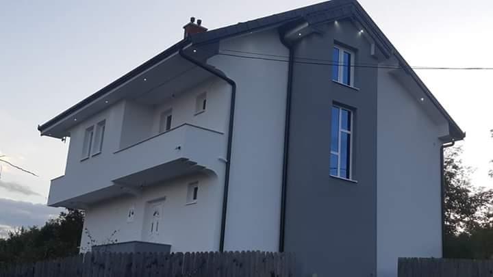 moler-
