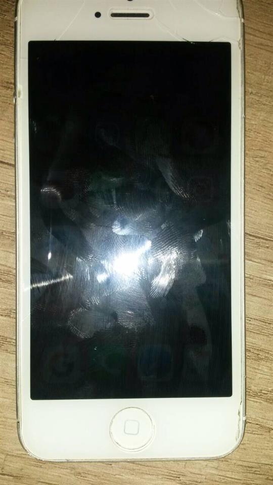 She-s-iPhone-5