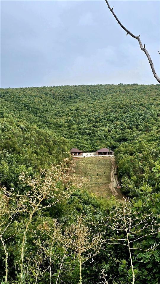 Troje-për-Villa-ne-Trudë-te-Bernices
