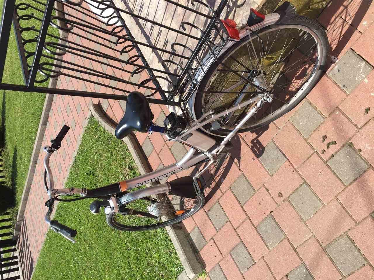 ALU-REX-E-Bike-28-ProPhete