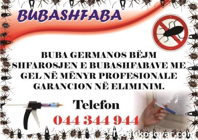 Beje shfarosjen e bubashfabave 