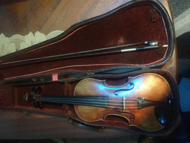 Violina