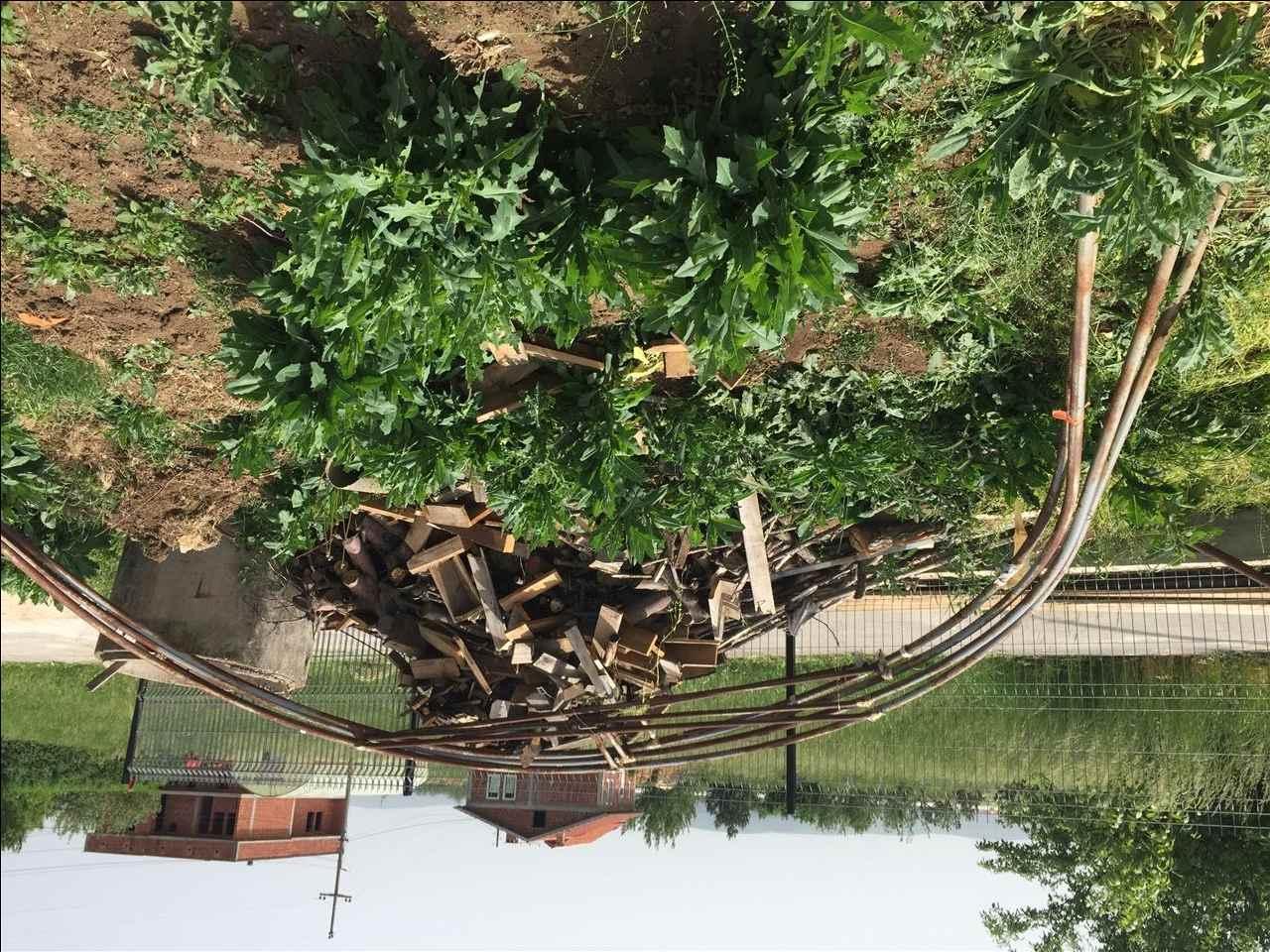 Sera-